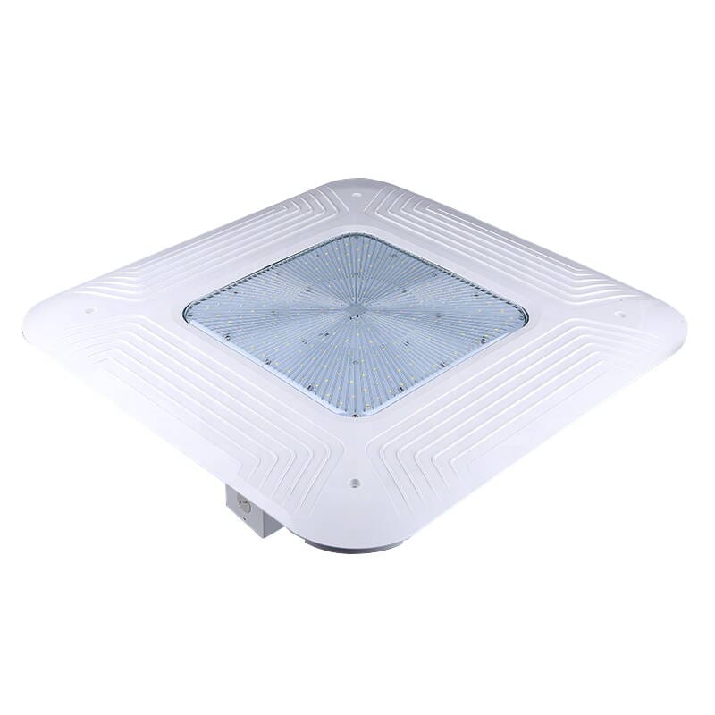 Canopy Lights — category