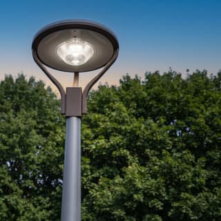 Illustration: a solar LED post top area light lit at dusk on a round pole in front of a wall of park trees.
