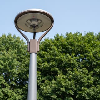 Illustration: a solar LED post top area light, switched off in daylight, on a round pole in front of a wall of park trees.