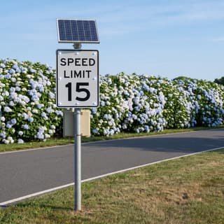 Illustration: a solar LED flashing 15 mph speed limit sign on a park road through a public garden.