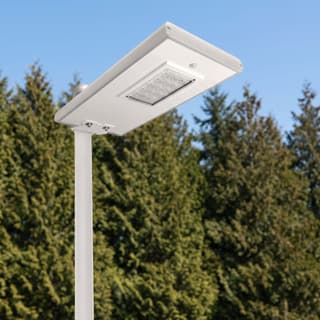 Illustration: a solar LED walkway light, switched off in daylight, on a round white pole in front of an evergreen windbreak.